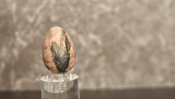 Rhodonite Egg - 5.5cm - Image 5