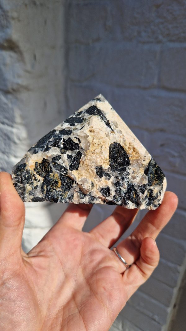 Black Tourmaline & Quartz cutbase point