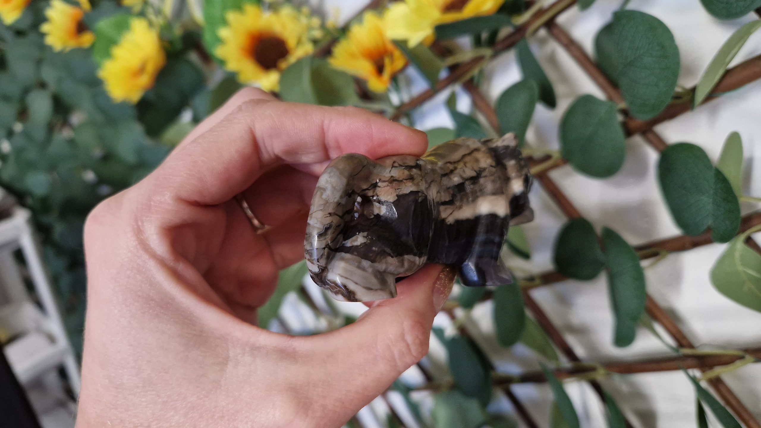 Volcano Agate Tiger - Image 7